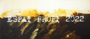 ESPAI PROPI 2022